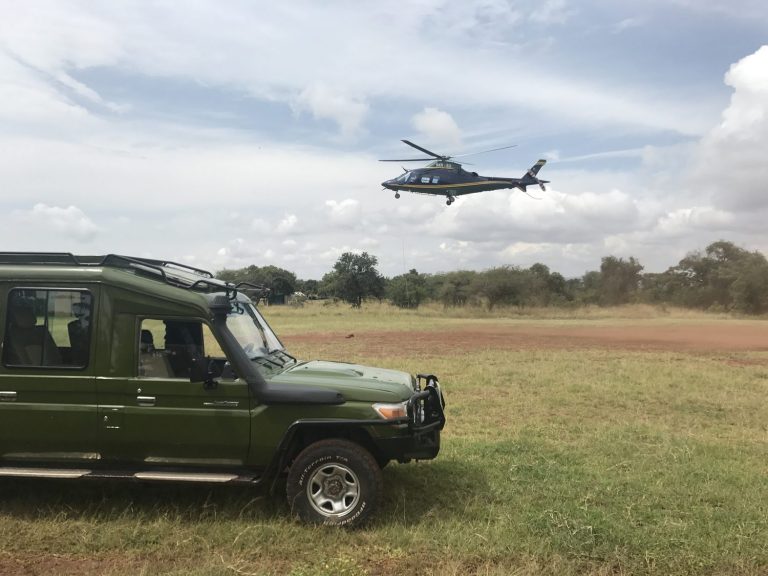 Read more about the article The Ultimate Guide to 4×4 Car Rental to Volcanoes National Park for Gorilla Trekking in Rwanda