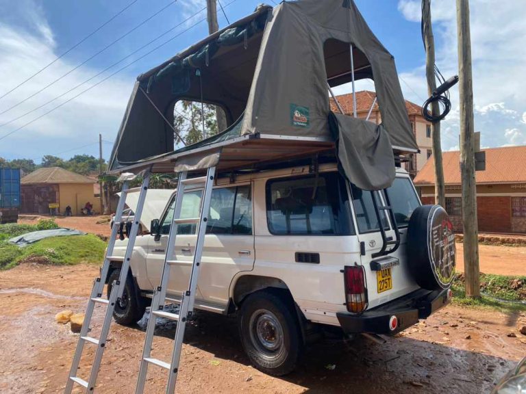 Read more about the article Self Drive Safari in Rwanda