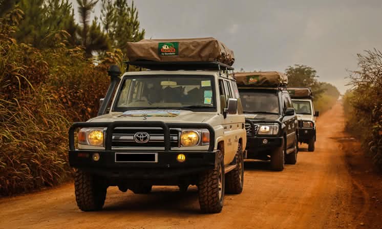 Read more about the article Self Drive Car Rental in Rwanda