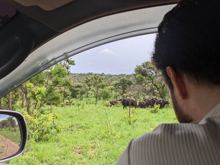 Read more about the article Rwanda Car Hire with Driver