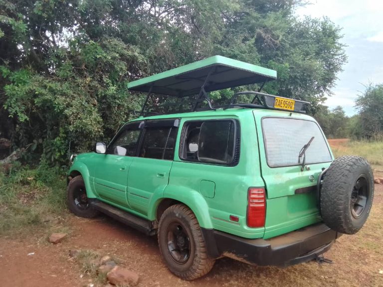 Read more about the article 4×4 Safari Vehicle Rwanda – Explore National Parks with Rental Cars Rwanda