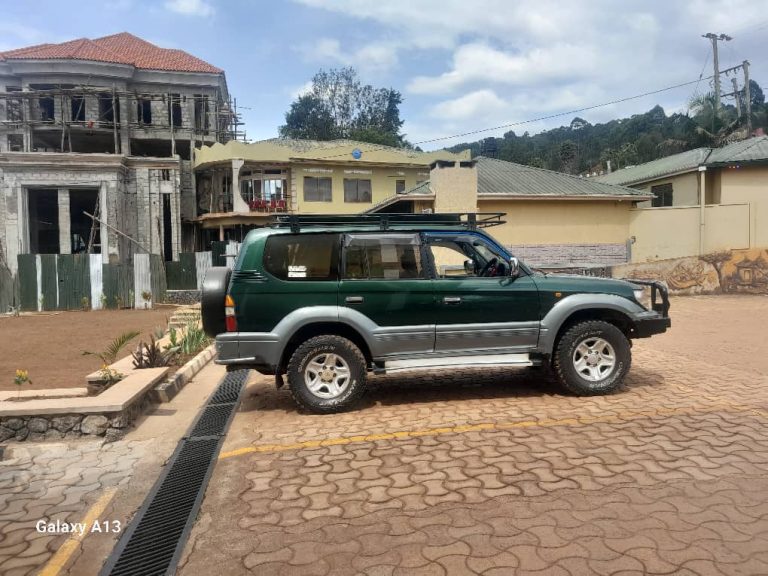 Read more about the article Car rental to volcanoes national park