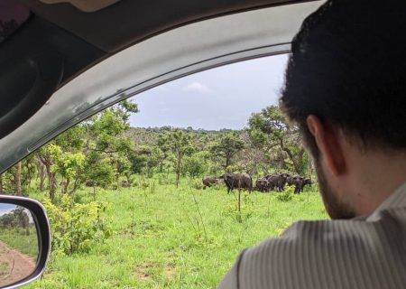 Kigali Car Rental with Driver